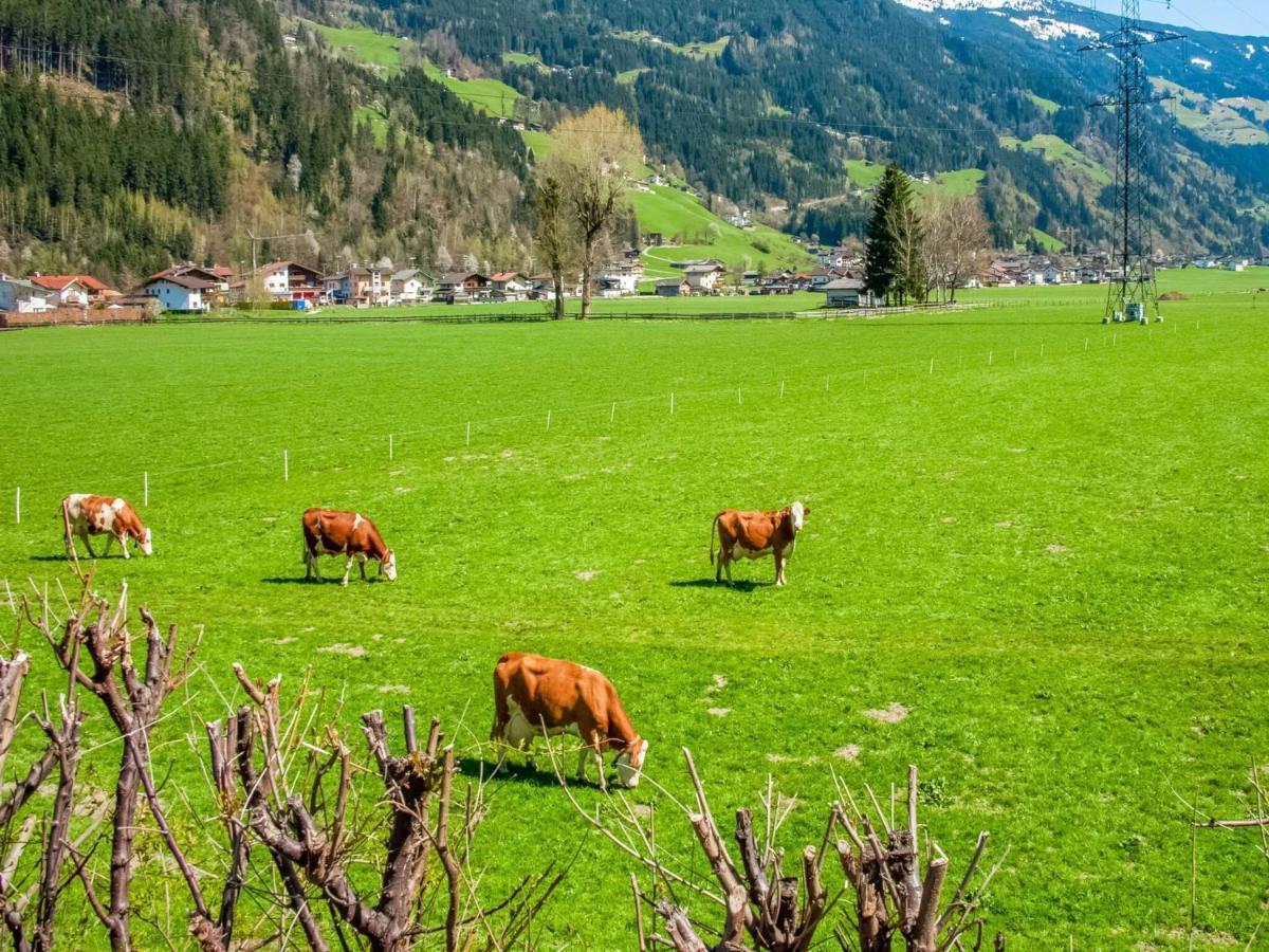 Beautiful Apartment In Ramsau With Balcony Ramsau im Zillertal Exteriér fotografie